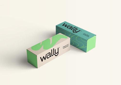 Wally口腔护理 以平面设计构筑清新、亲和、专业的品牌形象